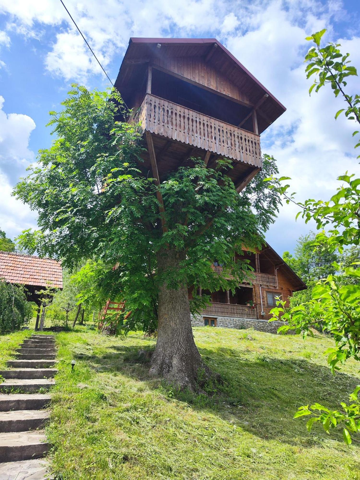 La Sat Villa Bertea Exterior photo